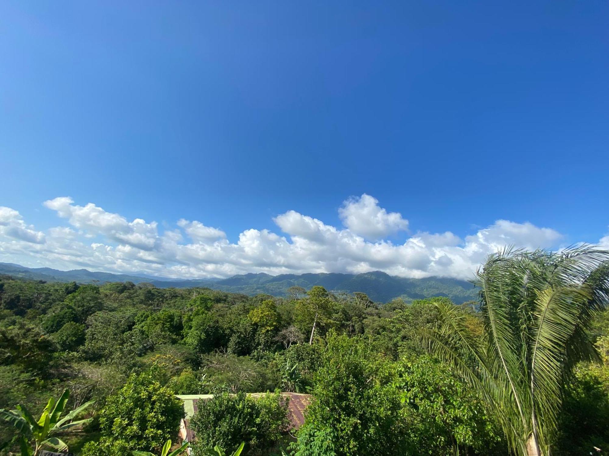 Valles Of Osa Palmar Sur Dış mekan fotoğraf